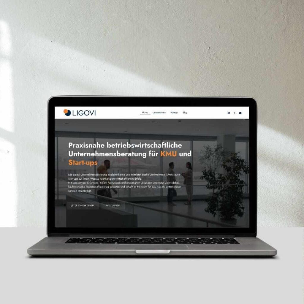 Ligovi unternehmensberatung laptop