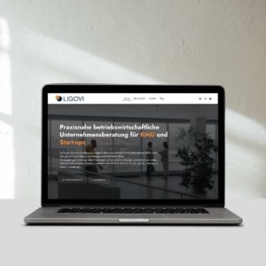 Ligovi unternehmensberatung laptop