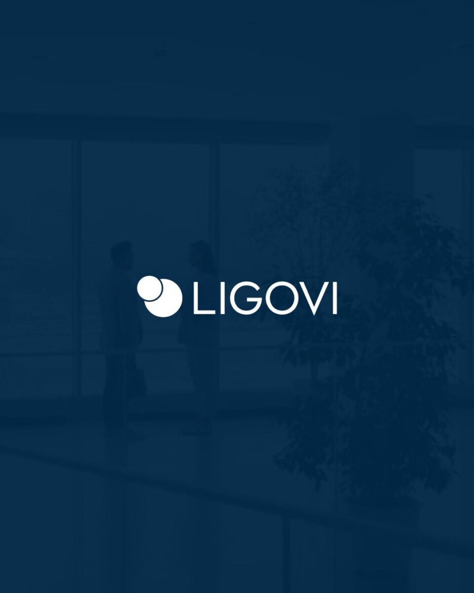 ligovi-unternehmensberatung-logo
