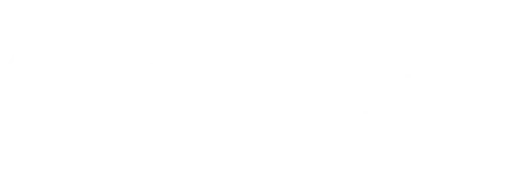 WordPress Logo